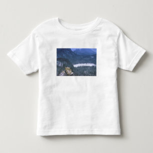 Europe, Germany, Bayern, Hohenschwangau Toddler T-Shirt