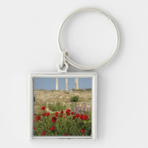 Europe, Greece, Cyclades, Delos. Column ruins. 2 Key Ring