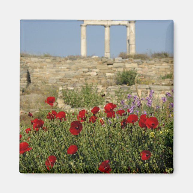 Europe, Greece, Cyclades, Delos. Column ruins. 2 Magnet (Front)