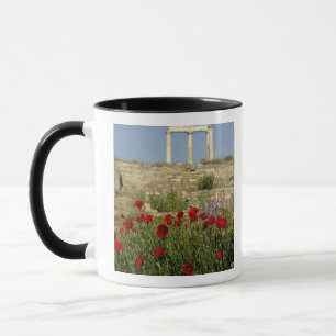 Europe, Greece, Cyclades, Delos. Column ruins. 2 Mug