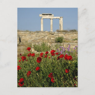 Europe, Greece, Cyclades, Delos. Column ruins. 2 Postcard