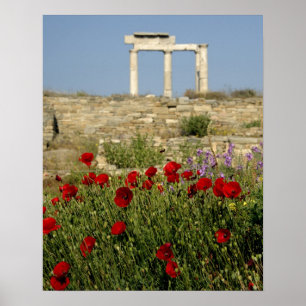 Europe, Greece, Cyclades, Delos. Column ruins. 2 Poster