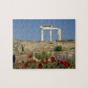 Europe, Greece, Cyclades, Delos. Column ruins. Jigsaw Puzzle