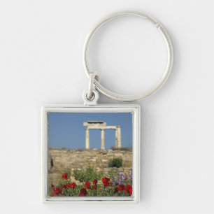 Europe, Greece, Cyclades, Delos. Column ruins. Key Ring
