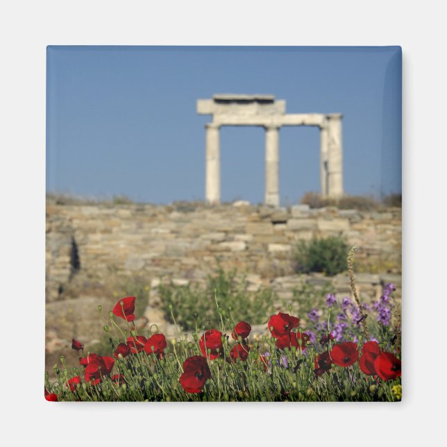 Europe, Greece, Cyclades, Delos. Column ruins. Magnet (Front)