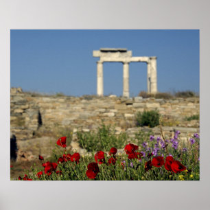 Europe, Greece, Cyclades, Delos. Column ruins. Poster