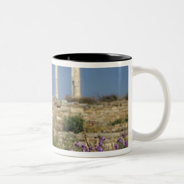 Europe, Greece, Cyclades, Delos. Column ruins. Two-Tone Coffee Mug (Right)