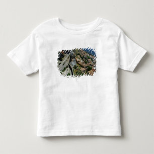 Europe, Greece, Peloponnese, Monemvasia Toddler T-Shirt