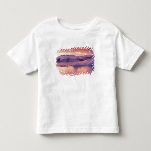 Europe, Iceland, Jokulsarlon lagoon Toddler T-Shirt