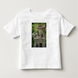 Europe, Ireland, Blarney Castle. THIS IMAGE Toddler T-Shirt