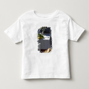 Europe, Italy, Liguria region, Cinque Terre, Toddler T-Shirt