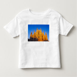 Europe, Italy, Milan, Cathedral of Milan Toddler T-Shirt