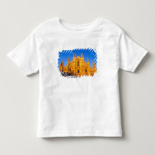Europe, Italy, Milan, Cathedral of Milan Toddler T-Shirt