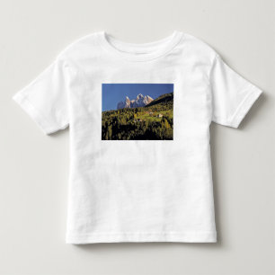 Europe, Italy, San Pietro. The Odle Group seem Toddler T-Shirt