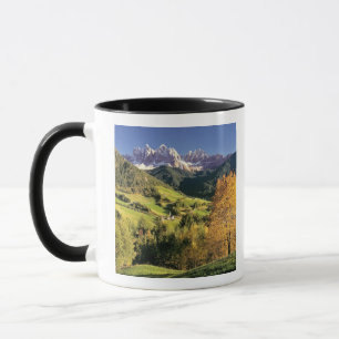 Europe, Italy, Santa Magdalena. The tiny Mug