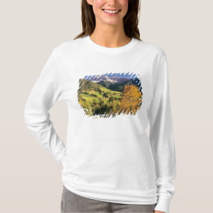 Europe, Italy, Santa Magdalena. The tiny T-Shirt