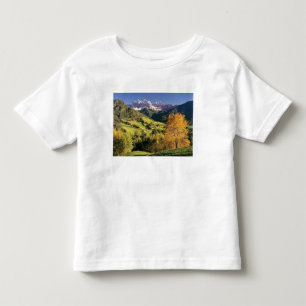 Europe, Italy, Santa Magdalena. The tiny Toddler T-Shirt