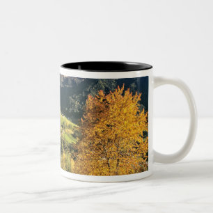 Europe, Italy, Santa Magdalena. The tiny Two-Tone Coffee Mug