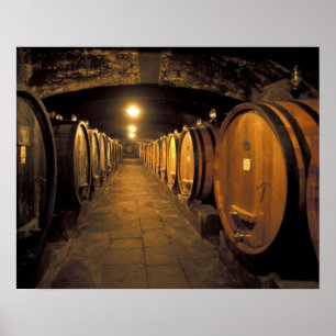 Europe, Italy, Toscana region. Chianti cellars Poster