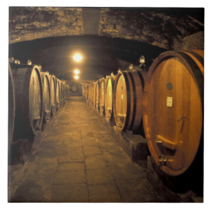 Europe, Italy, Toscana region. Chianti cellars Tile