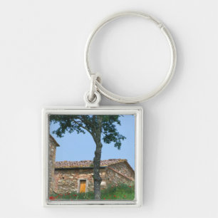 Europe, Italy, Tuscany, abandoned villa in Key Ring