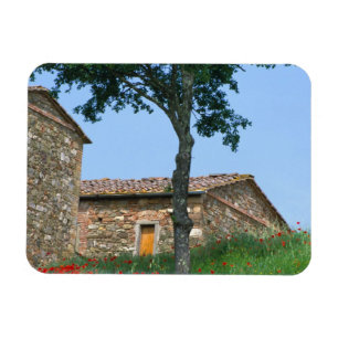 Europe, Italy, Tuscany, abandoned villa in Magnet