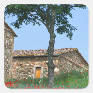 Europe, Italy, Tuscany, abandoned villa in Square Sticker