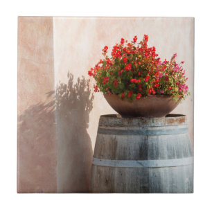 Europe, Italy, Tuscany. Flower pot Ceramic Tile