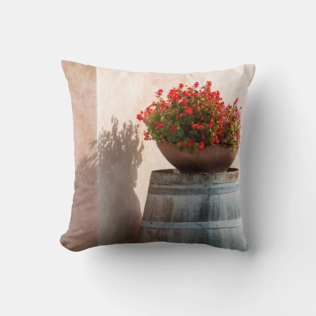 Europe, Italy, Tuscany. Flower pot Cushion (Front)
