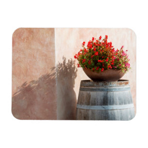 Europe, Italy, Tuscany. Flower pot Magnet