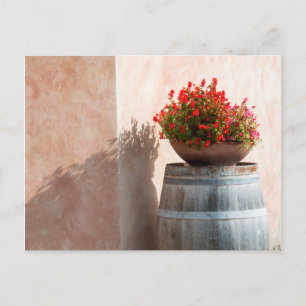 Europe, Italy, Tuscany. Flower pot Postcard