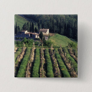 Europe, Italy, Tuscany. Scenic villa cyprus. 15 Cm Square Badge