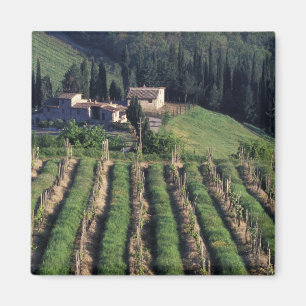 Europe, Italy, Tuscany. Scenic villa cyprus. Magnet