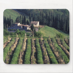 Europe, Italy, Tuscany. Scenic villa cyprus. Mouse Pad