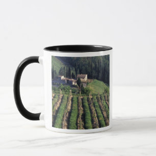 Europe, Italy, Tuscany. Scenic villa cyprus. Mug