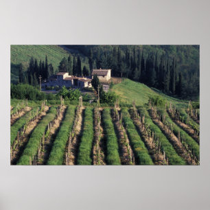 Europe, Italy, Tuscany. Scenic villa cyprus. Poster