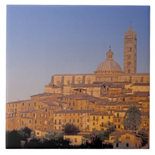 Europe, Italy, Tuscany, Siena. 13th century 3 Ceramic Tile