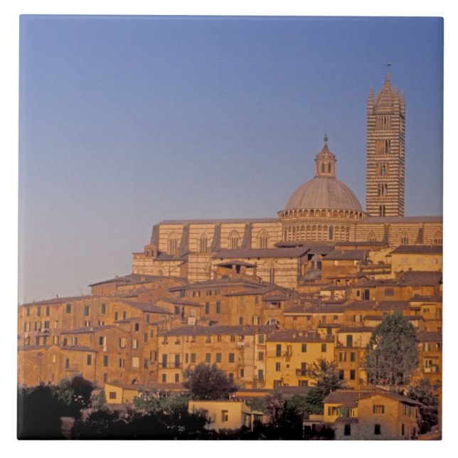 Europe, Italy, Tuscany, Siena. 13th century 3 Ceramic Tile (Front)