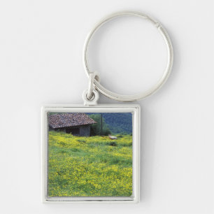 Europe, Italy, Tuscany, Siena, Chianti. Key Ring