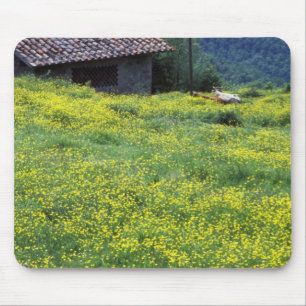 Europe, Italy, Tuscany, Siena, Chianti. Mouse Pad