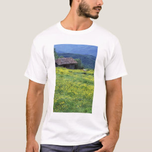 Europe, Italy, Tuscany, Siena, Chianti. T-Shirt