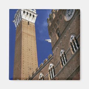 Europe, Italy, Tuscany, Siena. Torre del Magnet