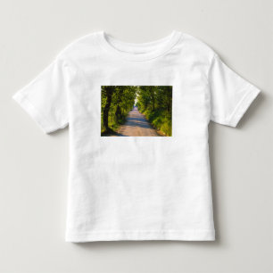 Europe, Italy, Tuscany, tree lined road Toddler T-Shirt