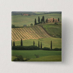 Europe, Italy, Tuscany, Val d' Orcia, Tuscan 15 Cm Square Badge