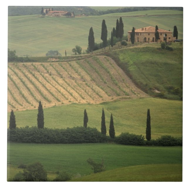 Europe, Italy, Tuscany, Val d' Orcia, Tuscan Ceramic Tile (Front)