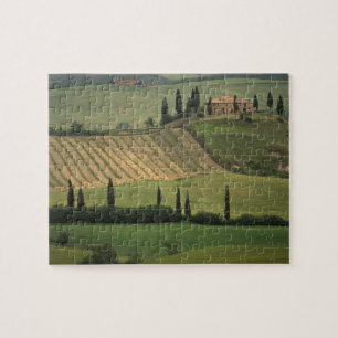Europe, Italy, Tuscany, Val d' Orcia, Tuscan Jigsaw Puzzle