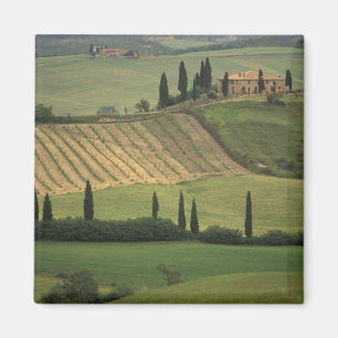 Europe, Italy, Tuscany, Val d' Orcia, Tuscan Magnet