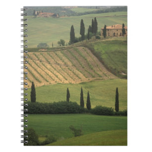 Europe, Italy, Tuscany, Val d' Orcia, Tuscan Notebook