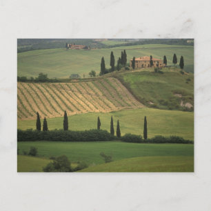 Europe, Italy, Tuscany, Val d' Orcia, Tuscan Postcard