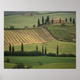 Europe, Italy, Tuscany, Val d' Orcia, Tuscan Poster